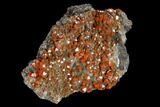 Red-Orange Bipyramidal Wulfenite Crystals - Melissa Mine, Arizona #118990-1